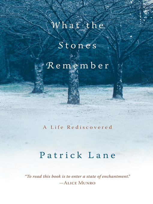 Cover image for What the Stones Remember